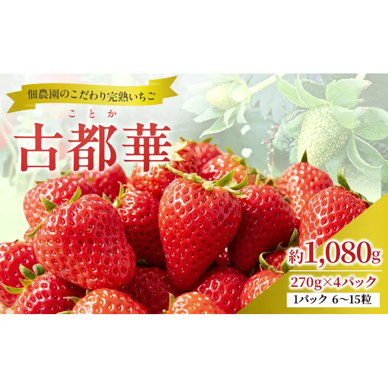 先行予約 【いちご 完熟 古都華 約1080g(270g× 4パック ) 佃農園のこだわり 高評価 フルーツ 果物 旬 産地直送 デザート ことか イチゴ 苺 冷蔵 冷蔵配送 奈良 奈良県 大和郡山市 BN001