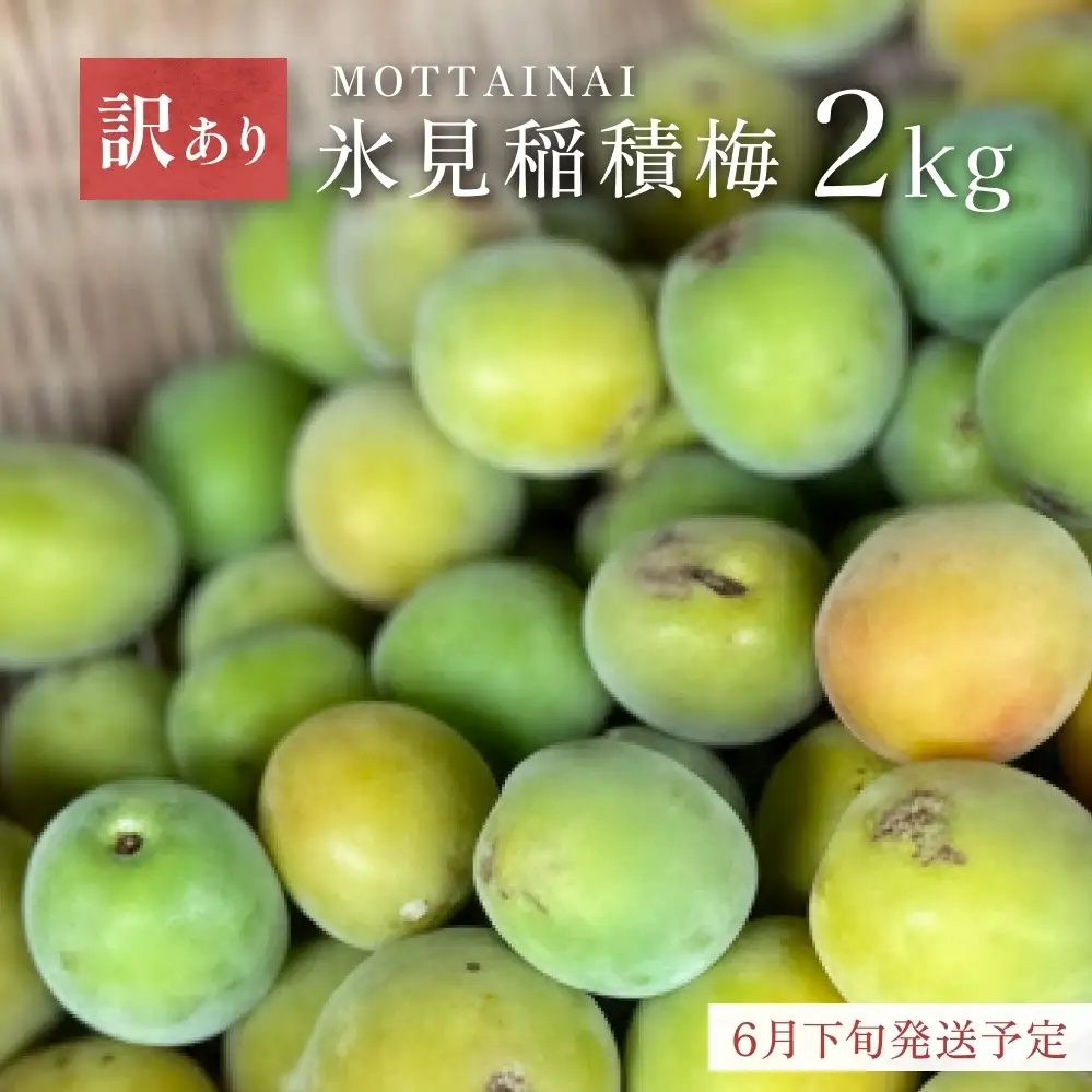 【訳あり】【先行予約】MOTTAINAI 氷見稲積梅 2kg ＜2026年6月下旬発送予定＞ | 生梅