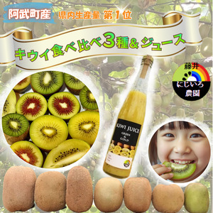 【先行予約】キウイ フルーツ 食べ比べ アソート 3種 約1.4kg ＆ キウイ ジュース 500ml （ 果汁 70％ ） セット 阿武町産 キウイ トリプル ジュースセット フルーツ 果物 詰め合わせ 山口県産 【お届け：2026年11月中旬～2027年2月下旬頃 出荷予定】