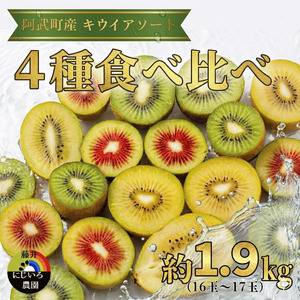 【先行予約】キウイ フルーツ 食べ比べセット 約1.9kg （ 4種アソート ） 阿武町産 希少品種を厳選！ 旬の味 を堪能 フルーツ 果物 デザート 山口県産 【お届け：2026年11月中旬～2027年2月下旬】※品種指定不可・合計8種から4種をお届け