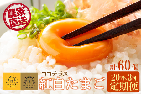 【3ヵ月定期便】ココテラスの紅白たまご　15個 + 5個保証（計20個）【JGAP認証】 農家直送 新鮮 卵 タマゴ 赤卵 白卵 玉子 鶏卵 朝食 夕食 夜食 朝ごはん たまご焼き だし巻き卵 オムレツ 卵ご飯 料理 濃厚 飼料にこだわった 卵かけご飯 米たまご 生卵 大容量 お取り寄せ 愛知県 常滑市