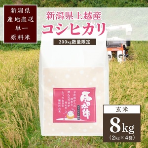 【数量限定】令和7年/新潟上越産「標高480mの山間地で育てた棚田米コシヒカリ」玄米8kg