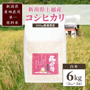 【数量限定】令和7年/新潟上越産「標高480mの山間地で育てた棚田米コシヒカリ」精米6kg