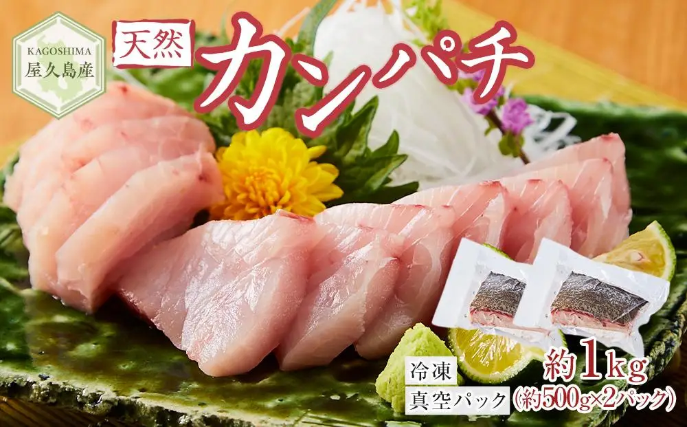 屋久島産 天然カンパチ 約1kg（約500g×2） ブロック 冷凍 真空パック | カンパチ