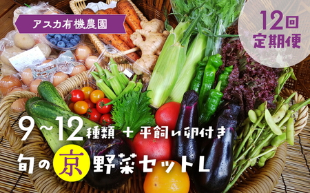 【12回定期便】＜アスカ有機農園＞旬の京野菜セットＬ 野菜