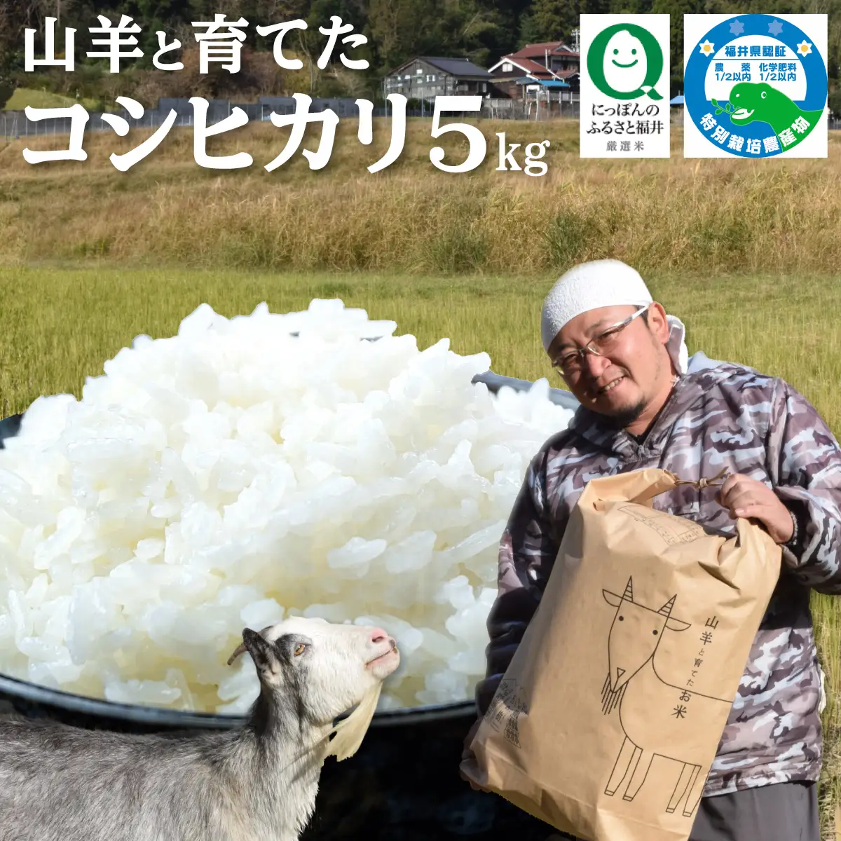 令和7年産 福井県産 『コシヒカリ』5kg  [003-a001-A]