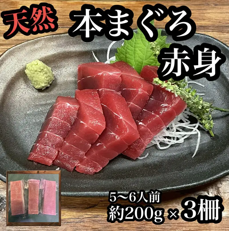 貴重な天然本鮪 赤身 約200g×3柵 約5 ６人前●マグロの中心部天身を使用！【赤身 天身 惣菜 海鮮 お取り寄せ 御中元 お中元 お歳暮 父の日 母の日 贈り物 日本酒 焼酎  マグロ マグロ】【神奈川県小田原市早川】
