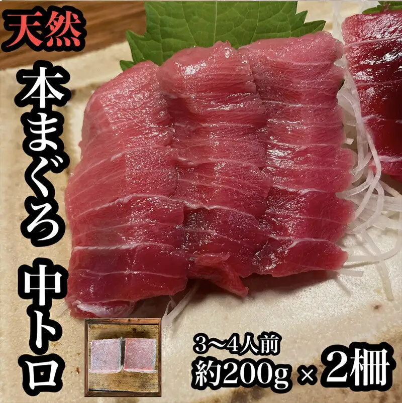 貴重な天然本鮪 中トロ 約200g 2柵　約3 4人前●くどくない上質な脂が美味しい！【とろ マグロ 惣菜 海鮮 お取り寄せ 御中元 お中元 お歳暮 父の日 母の日 贈り物 日本酒 焼酎  マグロ マグロ】【神奈川県小田原市早川】