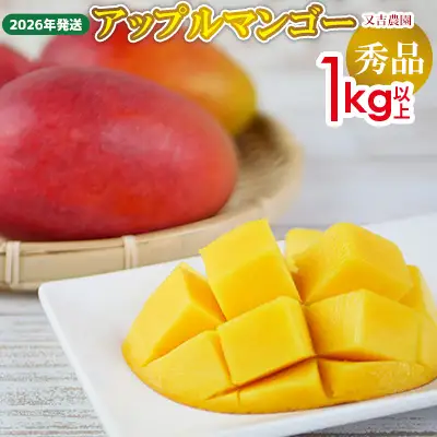 【2026年発送先行予約】沖縄県【又吉農園】　秀品アップルマンゴー　1kg以上 完熟 マンゴー アップル 南国 沖縄 国産 フルーツ くだもの 果物 果実 産地直送 贅沢 濃厚 スイーツ デザート 旬の果物 贈答用 ギフト 贈り物 プレゼント