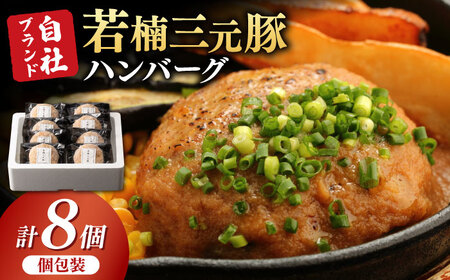 若楠三元豚 ハンバーグ 計1.2kg（150g×8個 ） / 佐賀県 / 株式会社ナチュラルフーズ [41AFAB003]