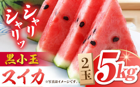 熊本スイカ先行予約 黒小玉スイカ(ひとりじめBonBon)2玉計約5kgすいか西瓜ZBY001