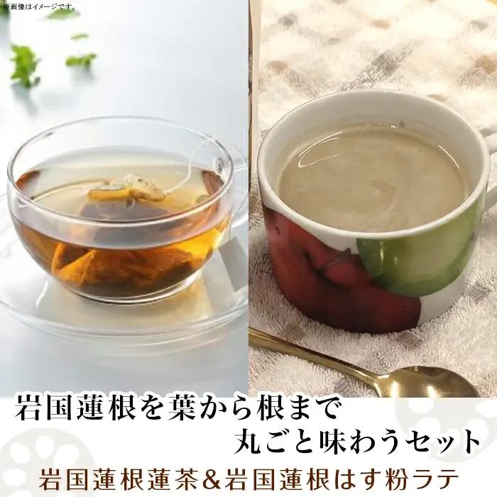 岩国蓮根を葉から根まで丸ごと味わうセット(岩国蓮根蓮茶＆ミルクで飲む岩国蓮根はす粉ラテの素)【池本食品】