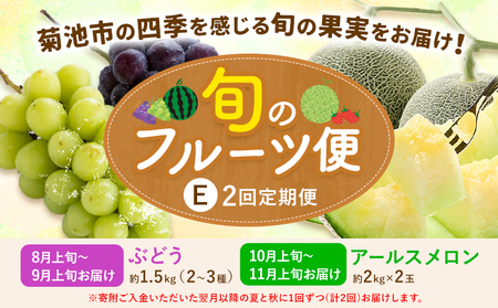 【2回定期便】旬のフルーツ便【養生市場】 定期便 ぶどう詰め合わせ約1.5kg メロン約2kg×2玉 2回発送 《8月上旬-11月中旬頃出荷》 果物 フルーツ 九州産 熊本県産 送料無料