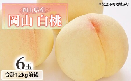 桃 2026年 先行予約 白桃 6玉入り 合計1.2kg前後 岡山