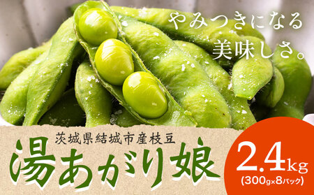 先行予約 枝豆2.4kg《2026年7月中旬-8月上旬頃出荷》【配送不可地域あり】