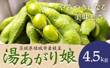 先行予約 枝豆4.5kg《2026年7月中旬-8月上旬頃出荷》【配送不可地域あり】