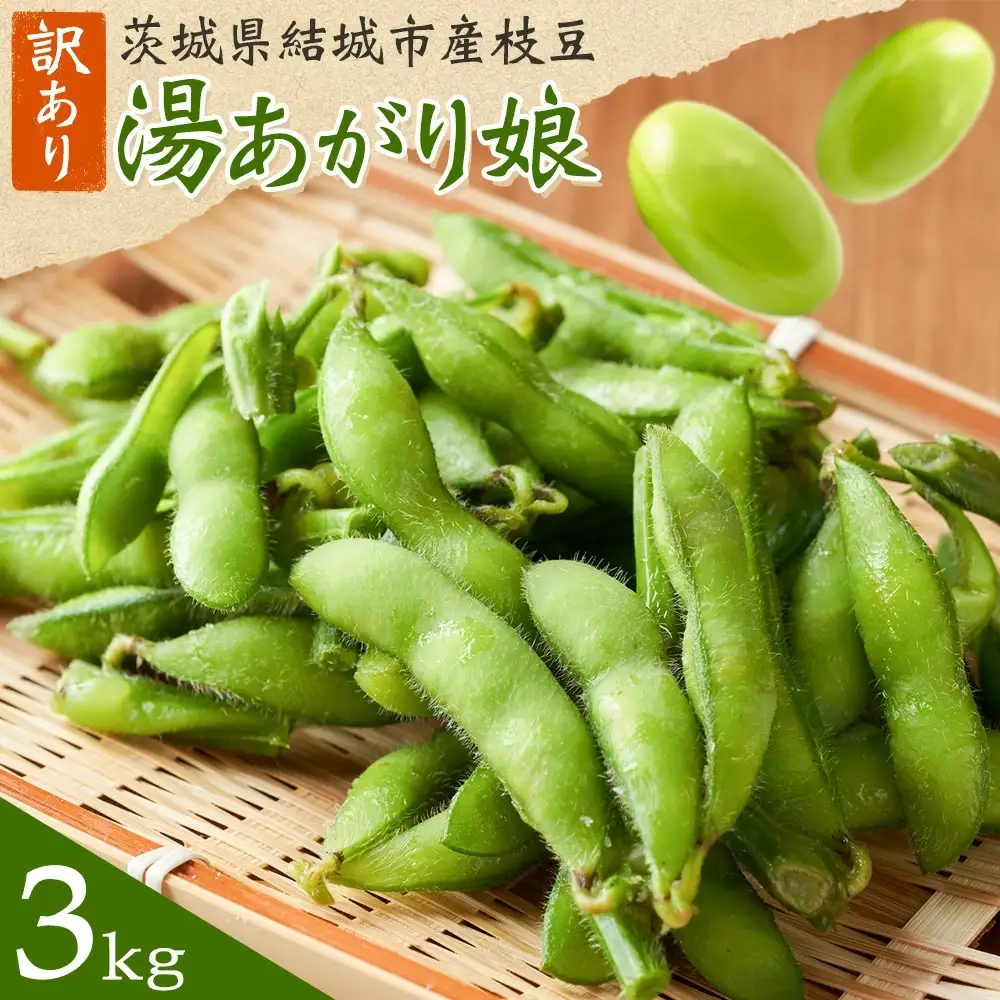 訳あり枝豆 3kg 2026年出荷 えだまめ【配送不可地域あり】