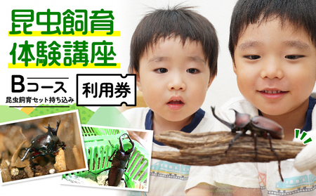 【幼児～小学生対象】昆虫飼育体験講座Bコース（昆虫・飼育セット各自お持ち込み＜体験：9月～12月の各日曜日＞）ご利用券（1名様） 体験チケット 生き物 子供 キッズ 