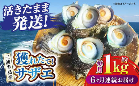 【全6回定期便】サザエ 1kg 6~10個 [AKAJ010]サザエ
