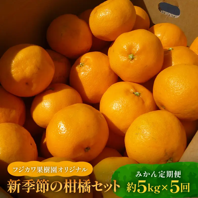 みかん 定期便 5回 フルーツ フジカワ果樹園オリジナル（新季節の柑橘セット） 果物 詰合せ  FAH-0041