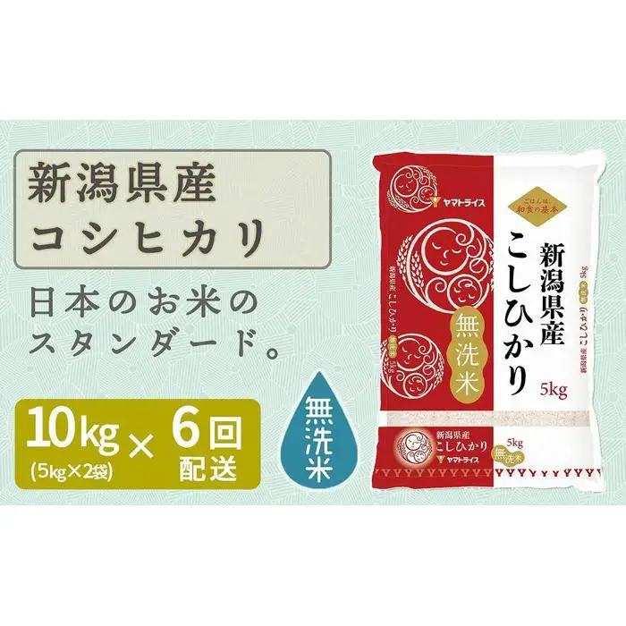 【定期便全6回】無洗米新潟県産コシヒカリ10kg（受注の翌月から毎月配送）