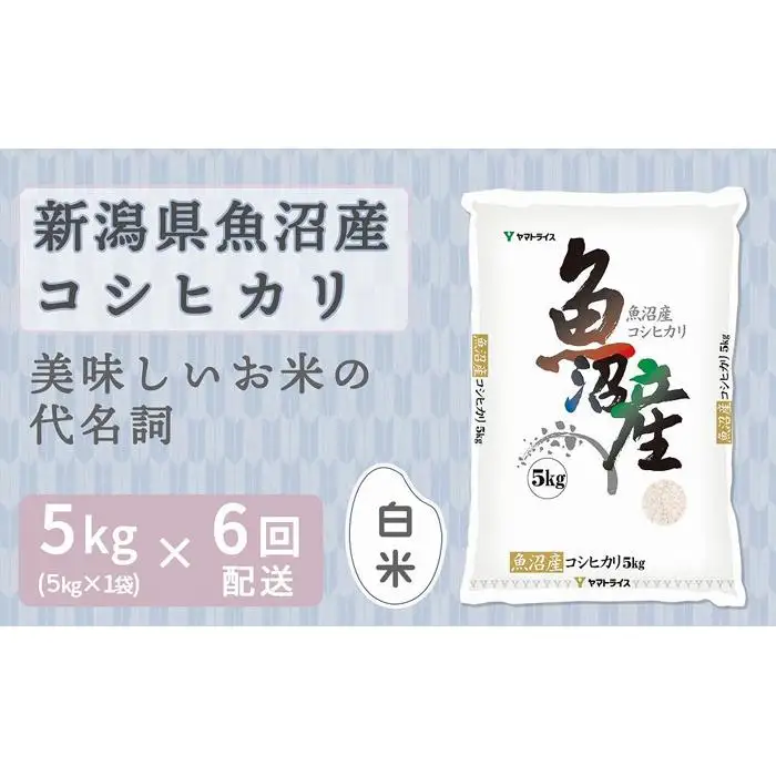 【定期便全6回】新潟県魚沼産コシヒカリ5kg（受注の翌月から毎月配送）