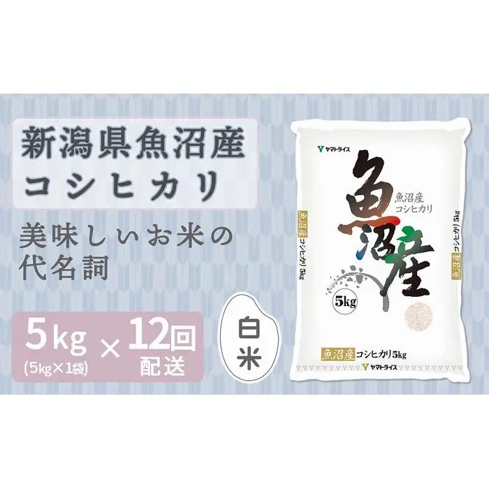 【定期便全12回】新潟県魚沼産コシヒカリ5kg（受注の翌月から毎月配送）