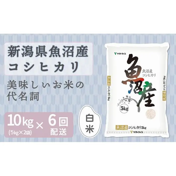 【定期便全6回】新潟県魚沼産コシヒカリ10kg（受注の翌月から毎月配送）