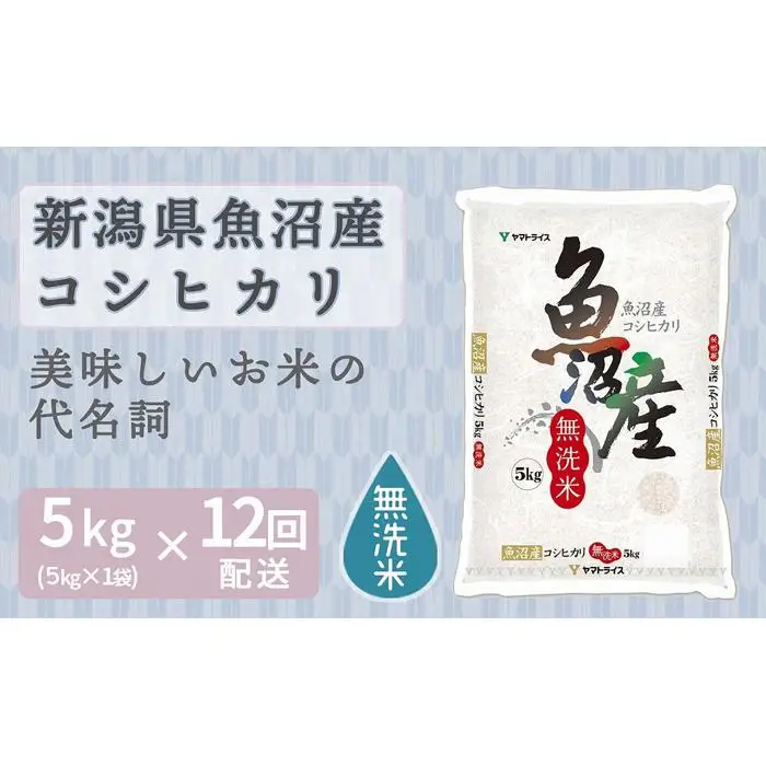 【定期便全12回】無洗米新潟県魚沼産コシヒカリ5kg（受注の翌月から毎月配送）