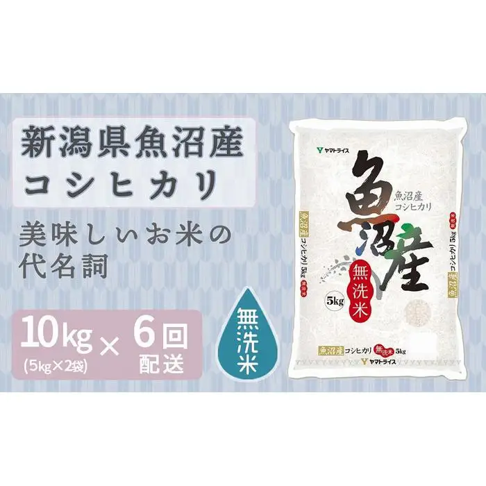 【定期便全6回】無洗米新潟県魚沼産コシヒカリ10kg（受注の翌月から毎月配送）