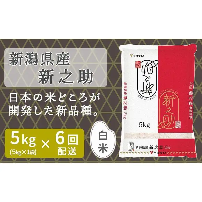 【定期便全6回】新潟県産新之助5kg（受注の翌月から毎月配送）