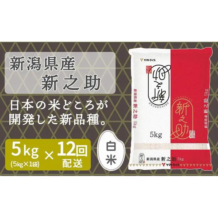 【定期便全12回】新潟県産新之助5kg（受注の翌月から毎月配送）