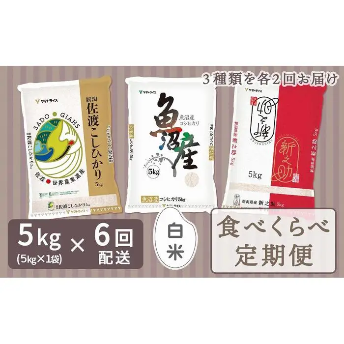 【定期便全6回】新潟県産米厳選食べ比べ 5kg（受注の翌月から毎月配送）