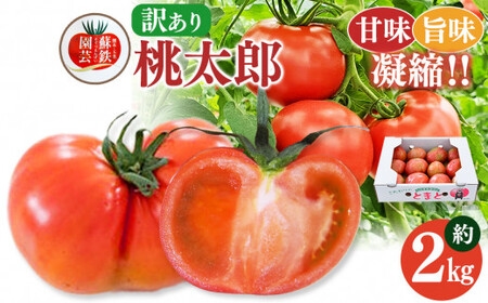 ご家庭用 トマト 桃太郎 約 2kg 訳あり | 野菜 やさい とまと 熊本県 玉名市 玉名