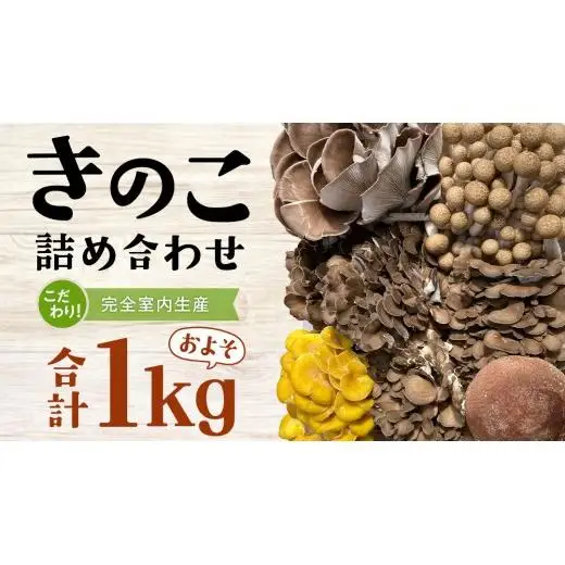 きのこ の 詰め合わせ Sサイズ ( 約1kg ) （茨城県共通返礼品：城里町）