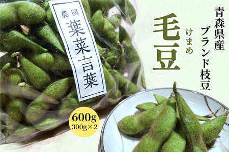 農園 葉菜言葉のおいしい毛豆 600g 令和8年産 [0532]
