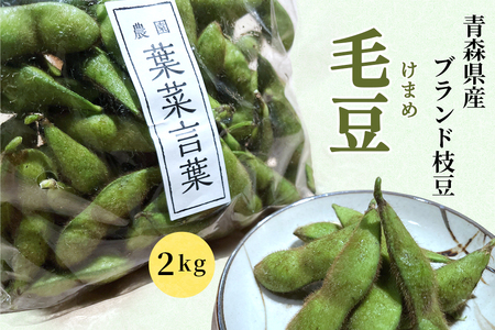 農園 葉菜言葉のおいしい毛豆 2kg 令和8年産 [0533]
