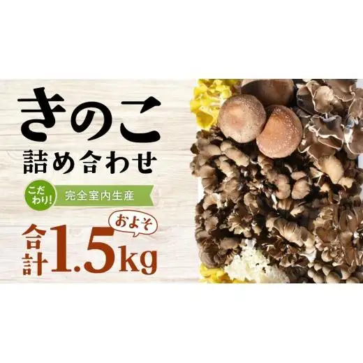 きのこ の 詰め合わせ Mサイズ ( 約1.5kg ) （茨城県共通返礼品：城里町）