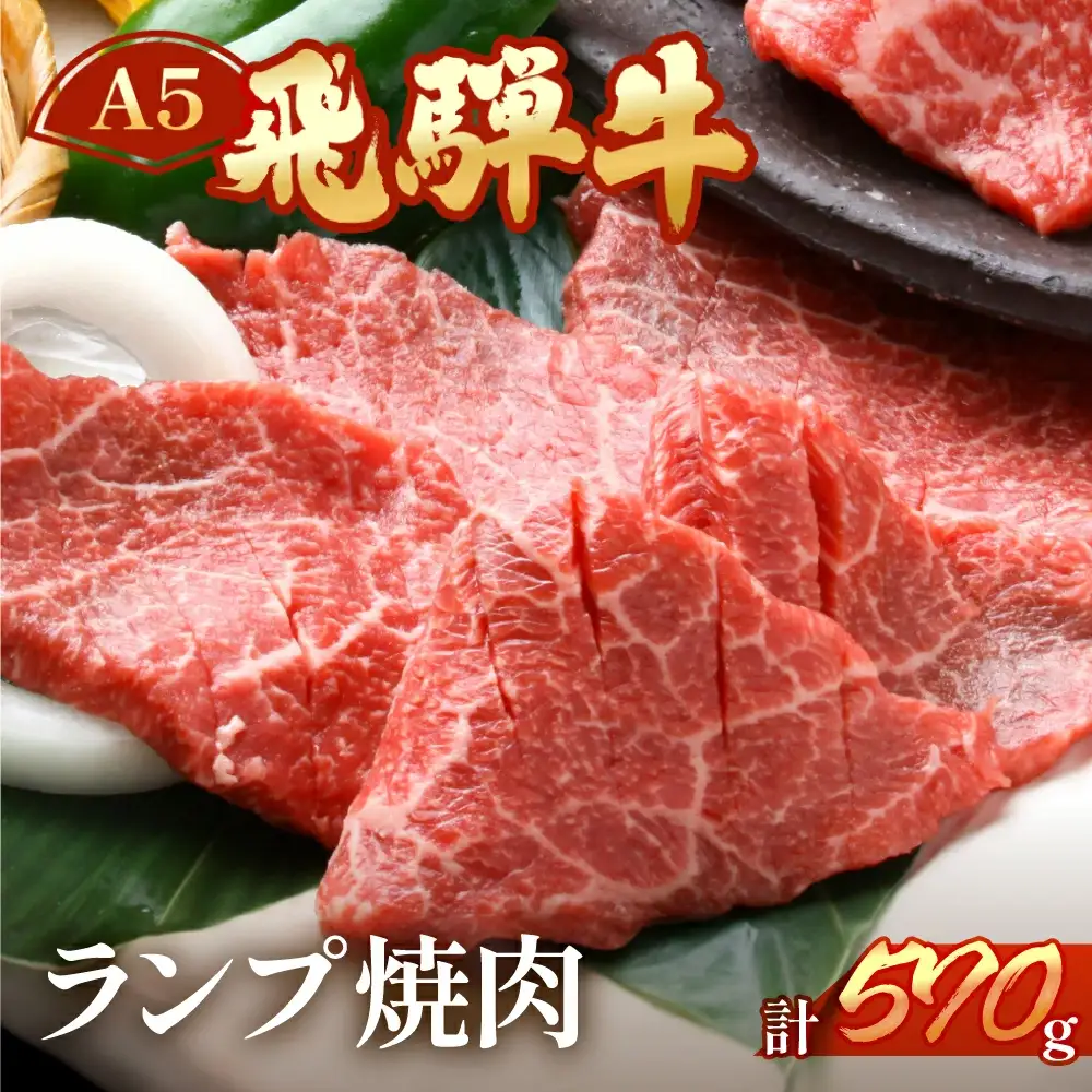飛騨牛 ランプ焼肉 570g【11-1021】