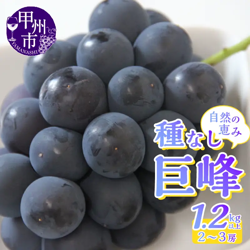産地直送 山梨自然の恵み！種なし巨峰 2～3房 1.2kg以上【2026年発送】（LKS）B-851 巨峰 フルーツ