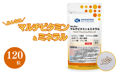 ≪飲み合わせが気になる人もそうでない人も家族みんなで健康生活≫みんなのマルチビタミン＆ミネラル 120粒