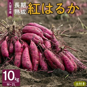 福岡県久留米市産　長期熟成紅はるか 10kg　M～2L　土付き 〔Gx040〕
