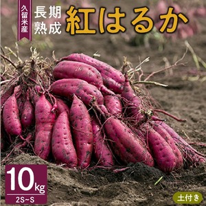 福岡県久留米市産 長期熟成紅はるか 10kg  2S～S 土付き_さつまいも 紅はるか 10kg 2S ～ S サイズ 土付き 久留米産 栽培期間中農薬不使用 長期熟成 熟成 上品 甘み ねっとり しっとり 本場 美味しい おやつ スイーツ 常温発送 国産 九州 福岡県 久留米市 お取り寄せ お取り寄せグルメ 送料無料 〔Gx042〕