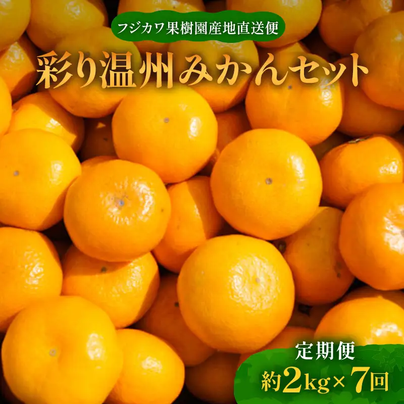 【7回頒布会】～フジカワ果樹園産地直送便～香川県産・彩り温州みかんセット 果物類 フルーツ 詰合せ お歳暮 御歳暮 お年賀 果物  FAH-0045
