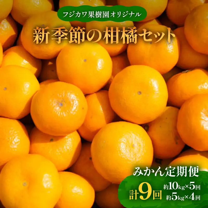 【9回頒布会】フジカワ果樹園オリジナル・新季節の柑橘セット 果物類 フルーツ 詰合せ お歳暮 御歳暮 お年賀 みかん 果物  FAH-0044