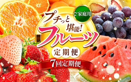 【 定期便 7回 】 プチっと 堪能 ！家庭用 フルーツ定期便 |（ いちご 白いちご みかん 不知火 デコポン スイカ ぶどう 梨 柿 果物 ） 