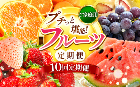 【 定期便 10回 】プチっと 堪能 ！家庭用 フルーツ定期便｜ （ いちご 白いちご みかん 不知火 デコポン スイカ ぶどう 梨 柿 果物 ）  定期便 定期 フルーツ 果物