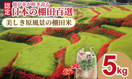 佐賀県遺産認定「江里山の棚田」のお米（5kg） 令和7年産 B150-019