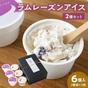 ラムレーズンアイス6個セット（2種の味わい）_ラムレーズン アイス 6個 セット 2種 x 各 3ヶ 国産干しぶどう ジャージーミルク ラムレーズンアイス ミルクアイス アイスクリーム スイーツ デザート おやつ カップ カップアイス 贈り物 福岡県 久留米市 お取り寄せ お取り寄せスイーツ 送料無料 〔Dw057〕