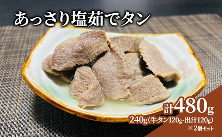 牛タン あっさり塩茹でタン 120g × 2個 出汁 セット タン塩 塩タン 温めるだけ 小分け 牛肉 冷凍配送